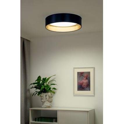 Duolla - Plafonnier ROLLER LED/24W/230V d. 45 cm bleu/doré