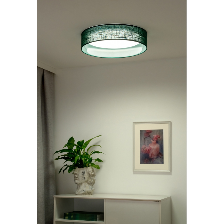 Duolla - Plafonnier ROLLER LED/24W/230V d. 45 cm vert