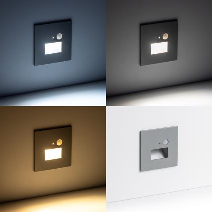 Éclairage d'escalier avec détecteur de mouvement LED/1,5W/230V 3000K/4000K/6500K