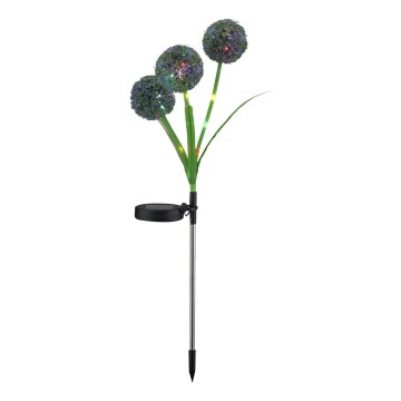 Éclairage solaire RGB ALLIUM LED/1,2V 6500 600 mAh IP44 noir