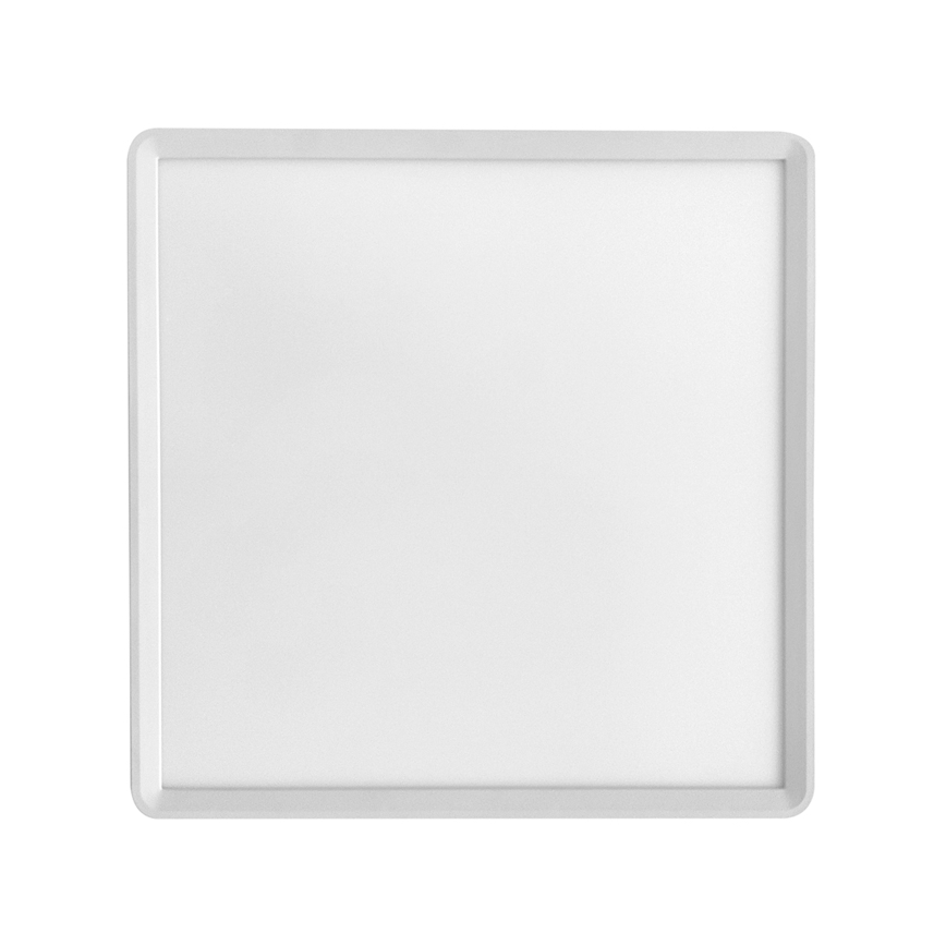 LED Plafondlamp TERY LED/32W/230V 3000/4000/6000K 40x40 cm IP40 wit