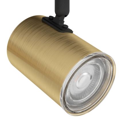 Eglo - Badkamer-spotlamp 3x GU10/5W/230V Ø 25 cm IP44 zwart/goud