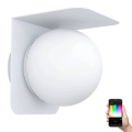 Eglo 31052 - LED RGBW Dimbaar buitenlamp CORRIENTES 1xE27/9W/230V IP44 wit