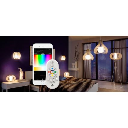Eglo - Afstandsbediening CONNECT 2xAAA Bluetooth