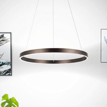 Eglo 33483 - LED-hanglamp aan kabel ALCAZABA 2×LED/18 W/230 V 3000 K Ø 55 cm brons