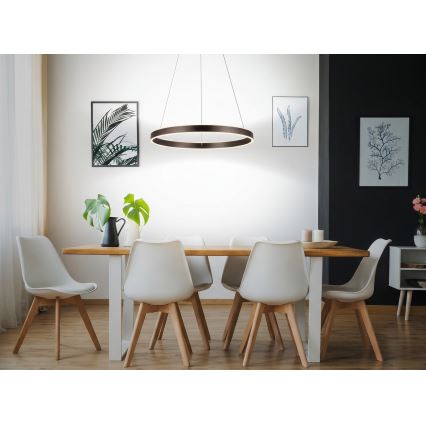 Eglo 33483 - Suspension sur câble LED ALCAZABA 2xLED/18W/230V 3000K Ø 55 cm bronze