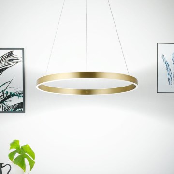 Eglo 33484 - Suspension LED à câble ALCAZABA, 2 x LED, 18 W, 230 V, 3000 K, Ø 55 cm, doré