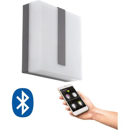 Eglo 33574 - LED Dimbaar Buitenwandlamp TORAZZA-C LED/14W/230V IP44