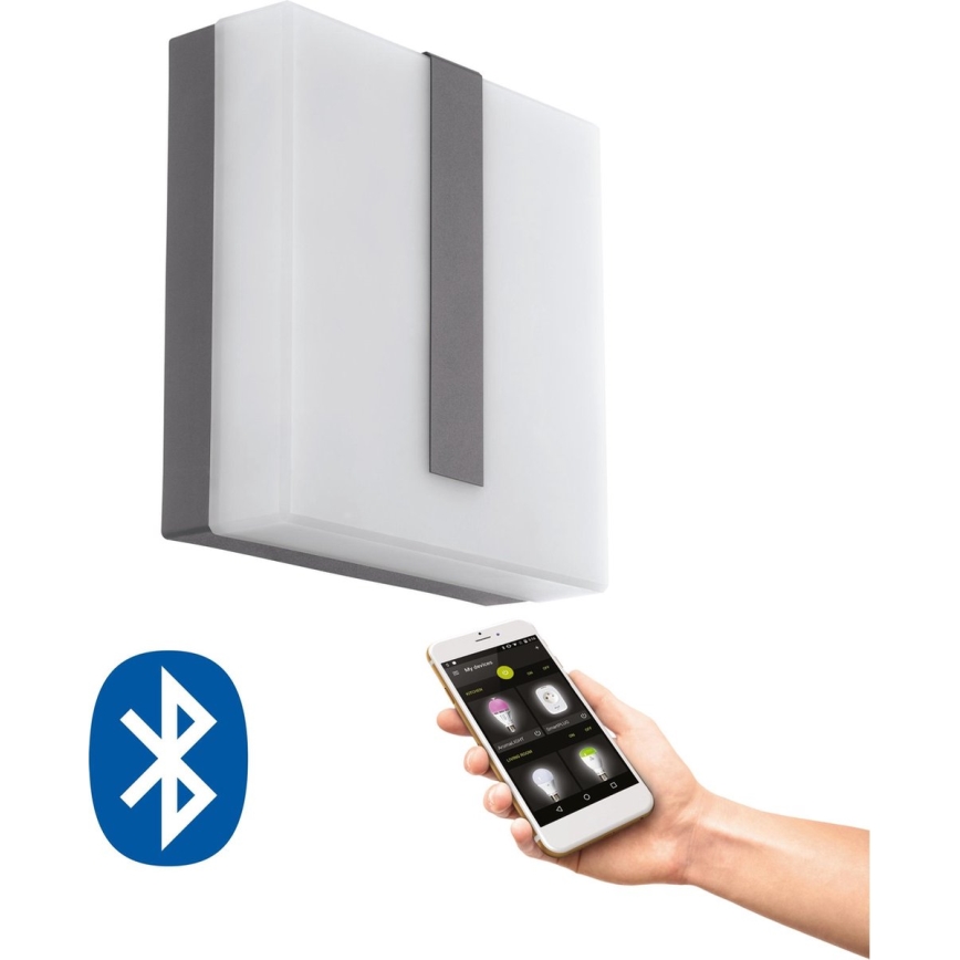 Eglo 33574 - LED Dimbaar Buitenwandlamp TORAZZA-C LED/14W/230V IP44