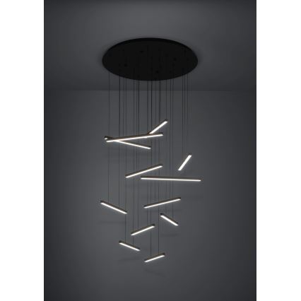 Eglo - Suspension filaire à intensité variable 12xLED/8,4W/230V 3000K noir