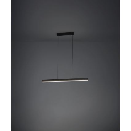 Eglo - Suspension filaire à intensité variable LED/20W/230V 3000K noir