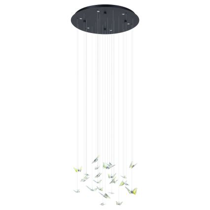 Eglo - LED-dimbare pendellamp aan kabel 6xLED/4,2W/230V zwart/helder