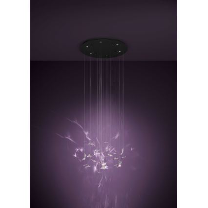 Eglo - Suspension LED dimmable sur câble 6xLED/4,2W/230V noir/transparent