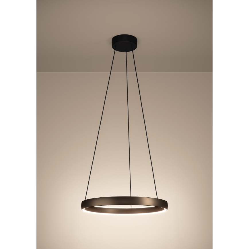Eglo - dimbare LED-hanglamp aan kabel met bewegingssensor, 2xLED/19W/230V, 2200-6500K, Ø 55 cm, bruin