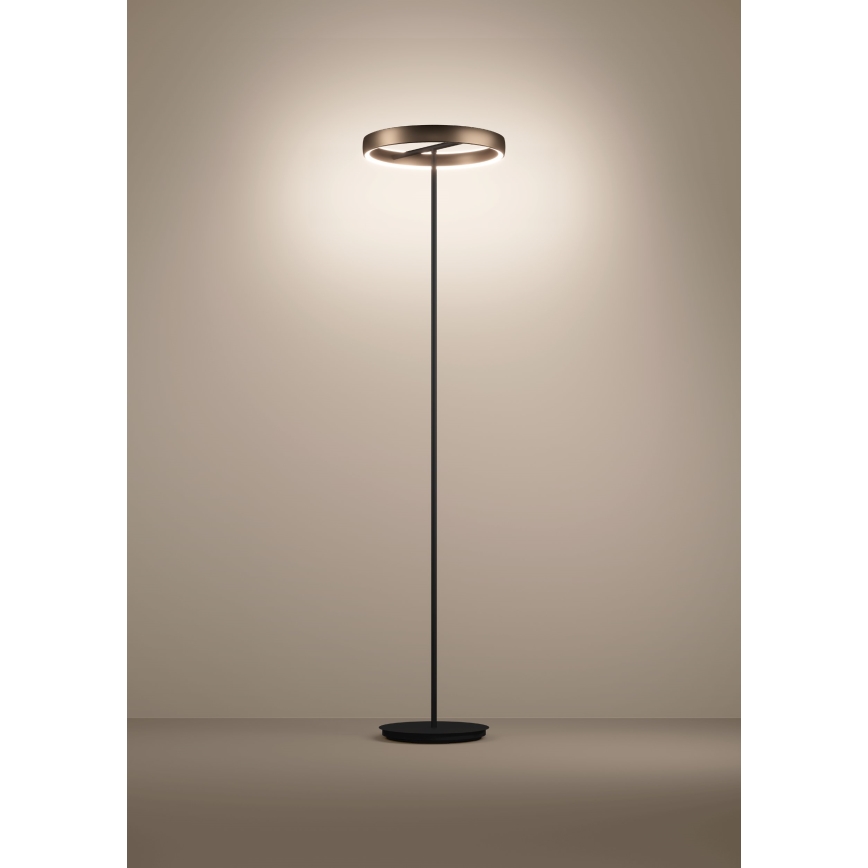 Eglo - dimbare LED staande lamp met bewegingssensor 2xLED/19W/230V 2200-6500K bruin