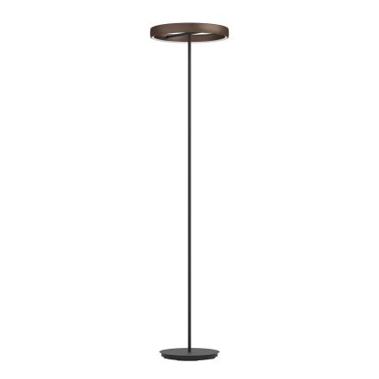Eglo - Lampe sur pied LED dimmable avec capteur de mouvement, 2xLED/19W/230V, 2200-6500K, marron