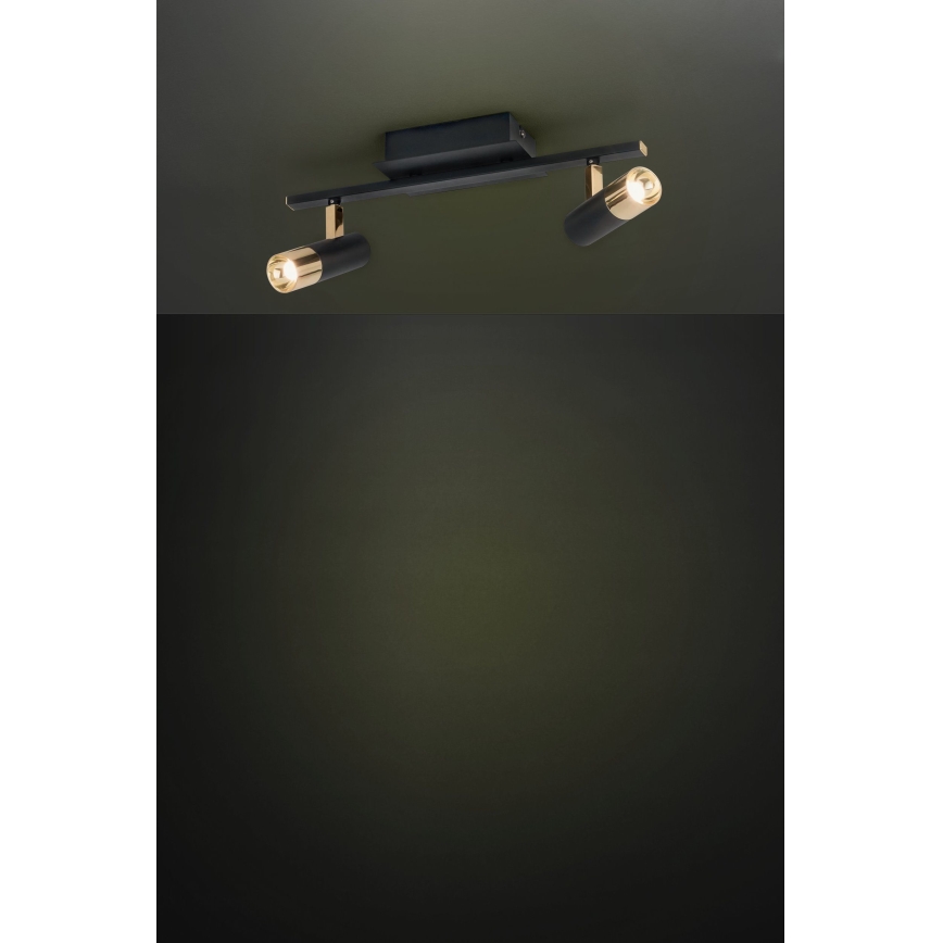 Eglo - LED Spot 2xLED/5W/230V/12V