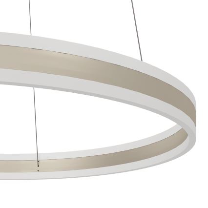 Eglo - Suspension dimmable LED avec fil LED/78W/230V
