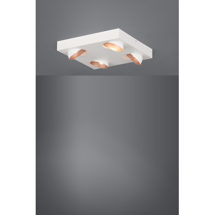 Eglo - LED Plafondverlichting dimbaar 4xLED/3,3W/230V