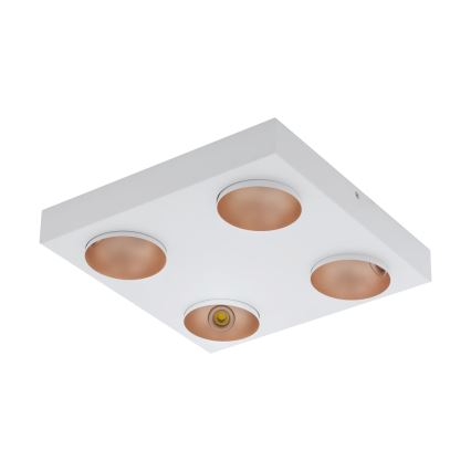 Eglo - Plafonnier LED 4xLED/3,3W/230V