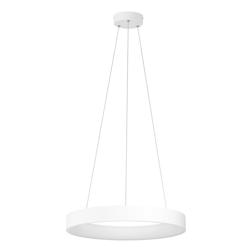 Eglo - Suspension filaire LED à intensité variable LED/34W/230V