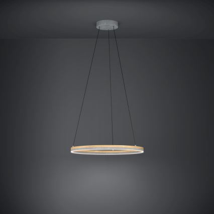 Eglo - Suspension filaire à intensité variable LED/36W/230V 3000K gris/chêne