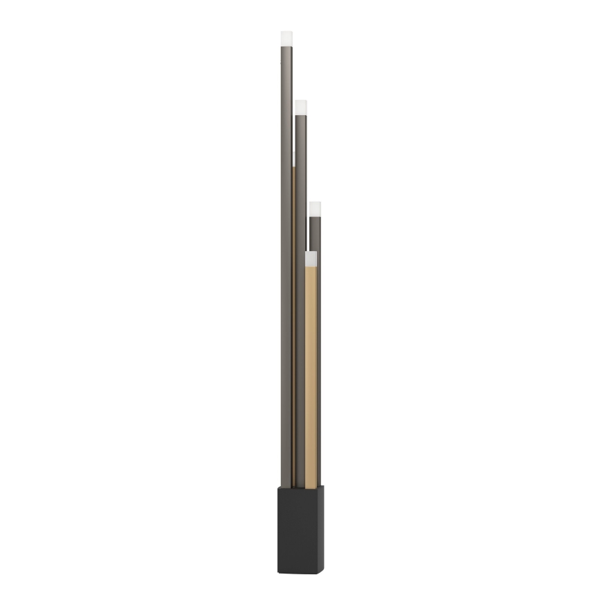 Eglo - Dimbare LED Staande lamp 5xLED/3,7W/230V 3000K antraciet/goud