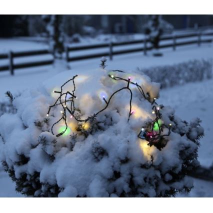 Eglo - LED buitensnoer 80xLED 8m IP44 multicolor