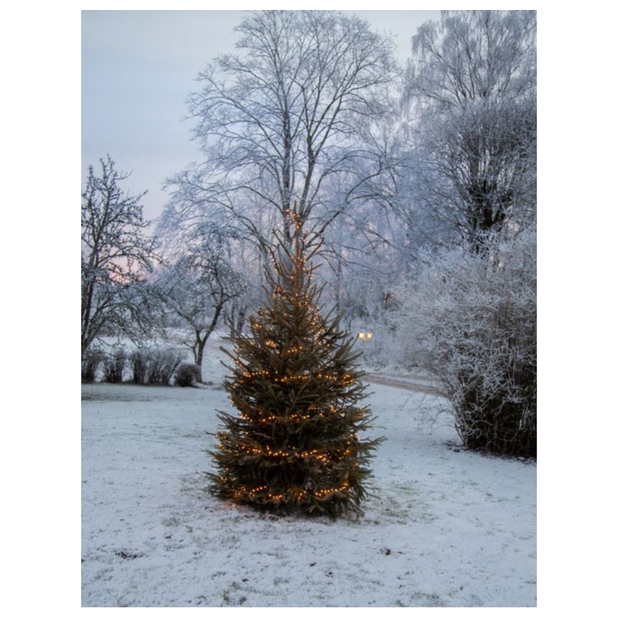 Eglo - LED buitenkerstsnoer 1200 LED, 29 m, IP44, warm wit