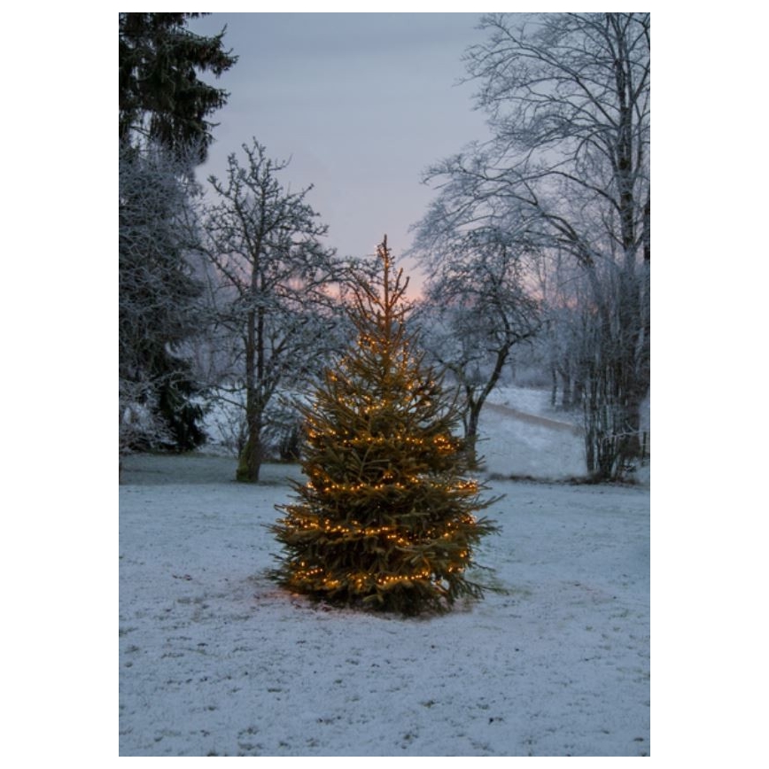 Eglo - LED Kerst Lichtketting voor Buiten 1200xLED 24m IP44 warm wit