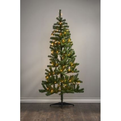 Eglo - Guirlande de Noël LED d'extérieur 80 LED 10,5 m IP44 blanc chaud