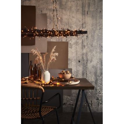 Eglo - Guirlande de Noël LED d'extérieur 80 LED 10,5 m IP44 blanc chaud