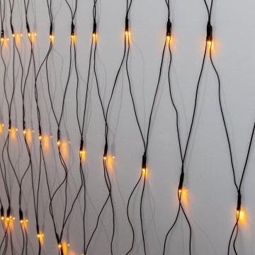 Eglo 410826 - LED Kerst lichtsnoer voor buiten 200xLED/3x3m IP44 warm wit