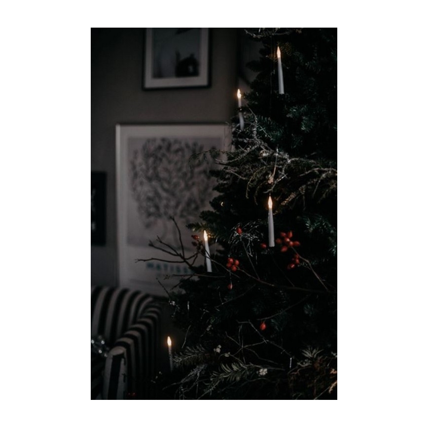 Eglo - Kerstboom 250 cm spar
