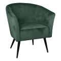 Eglo 424945 - Fauteuil AMPAHA 78x70 cm groen