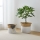 Eglo 426584 - Set van 2 decoratieve manden NANAE 30x31 cm wit/beige