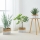 Eglo 426585 - Set van 3 decoratieve manden NANAE 16x27 cm wit/beige
