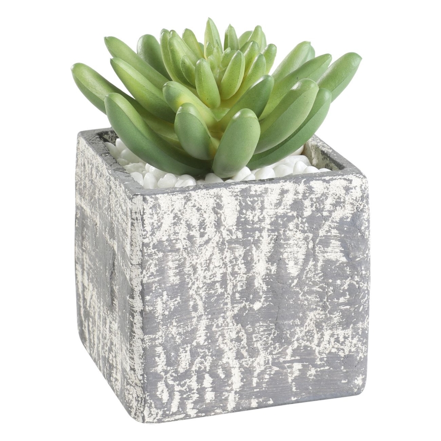 Eglo - Kunstplant in een bloempot 12x7,5 cm succulent