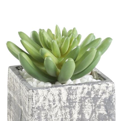Eglo - Kunstplant in een bloempot 12x7,5 cm succulent