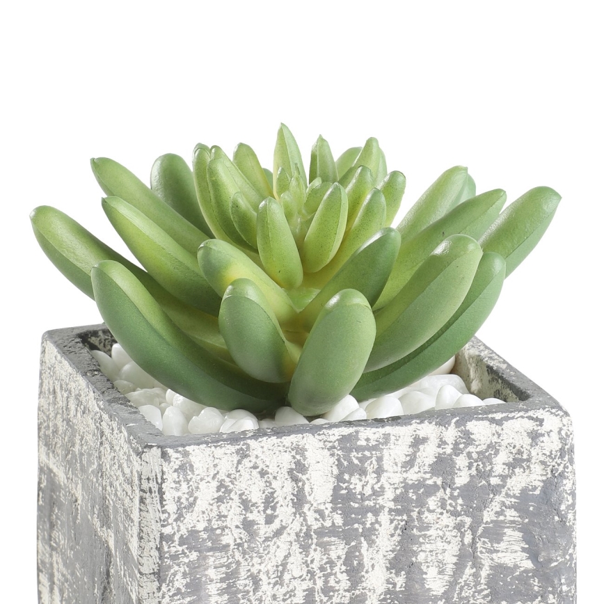 Eglo - Kunstplant in een bloempot 12x7,5 cm succulent
