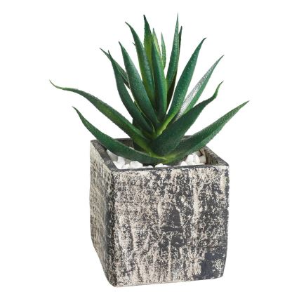 Eglo - Kunstplant in een bloempot 13x9,5 cm succulent