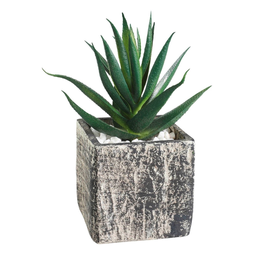 Eglo - Kunstplant in een bloempot 13x9,5 cm succulent