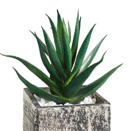 Eglo - Kunstplant in een bloempot 13x9,5 cm succulent