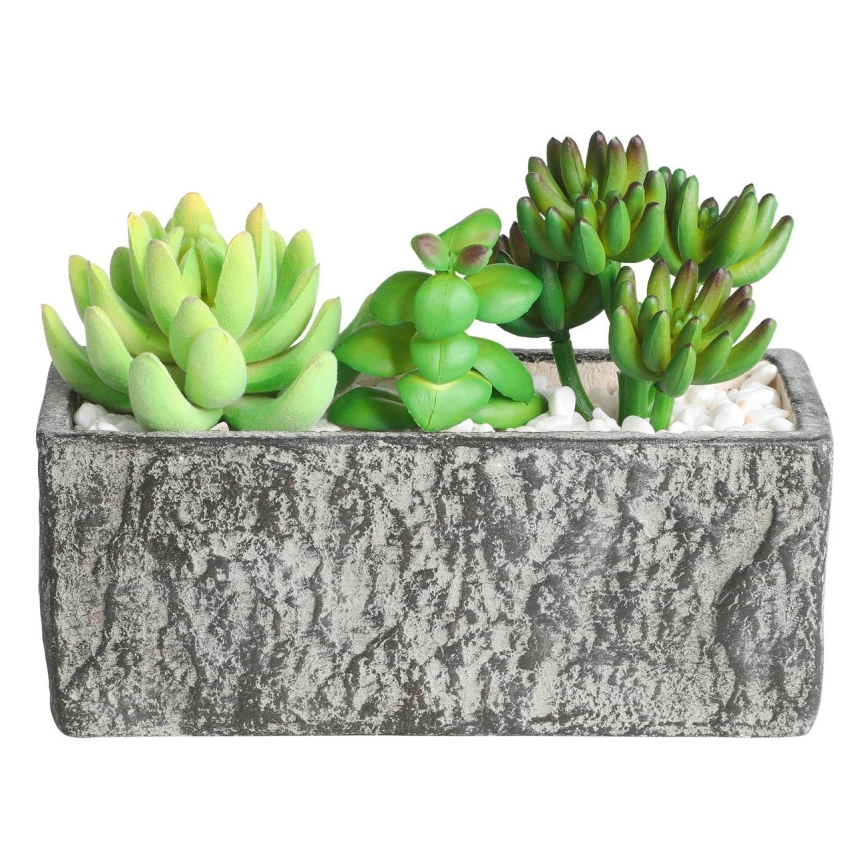 Eglo - Kunstplant in een bloempot 14,5x17,8 cm succulent