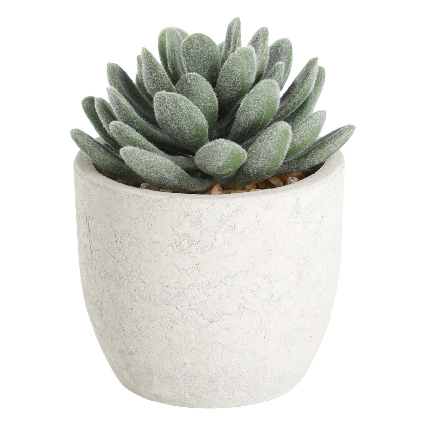 Eglo - Kunstplant in een bloempot 11x8 cm succulent