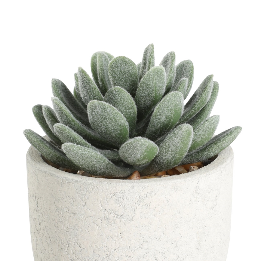 Eglo - Kunstplant in een bloempot 11x8 cm succulent