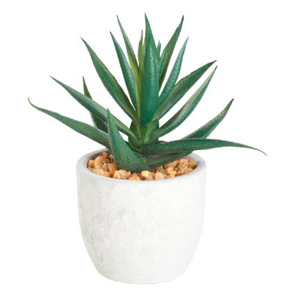 Eglo - Kunstplant in een bloempot 15,5x10 cm succulent