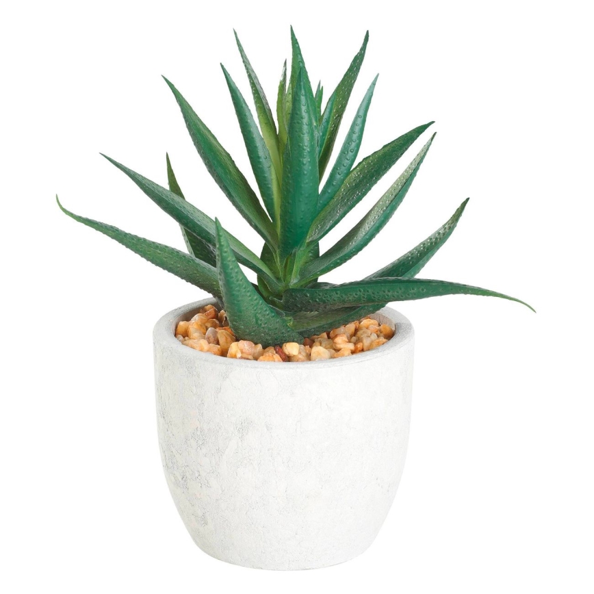 Eglo - Kunstplant in een bloempot 15,5x10 cm succulent