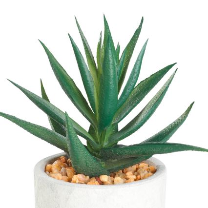 Eglo - Kunstplant in een bloempot 15,5x10 cm succulent