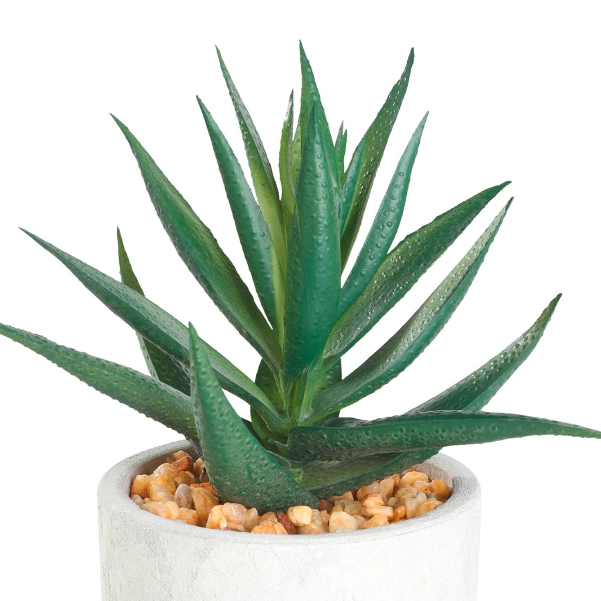 Eglo - Kunstplant in een bloempot 15,5x10 cm succulent